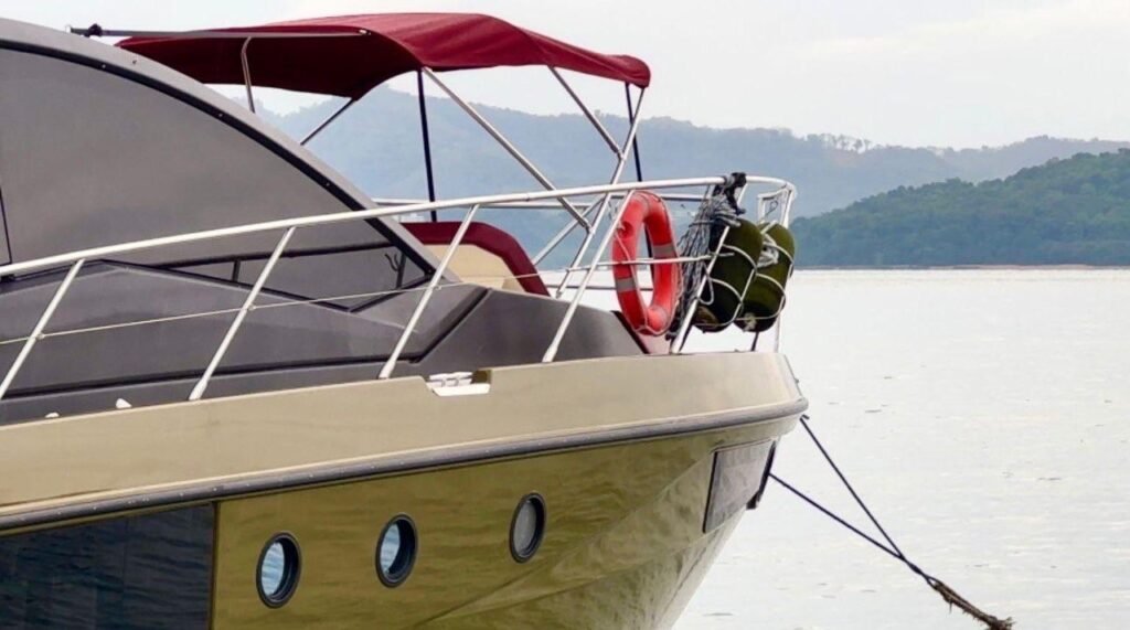 AE7FE12B-3C6D-4539-9CDD-FE89317900A0